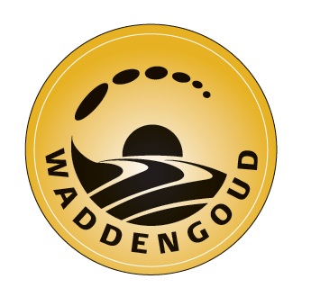 Waddengoud